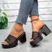 Women's Elegant Slip-On High Heeled Sandals Summer New Style Platform Hollow out Open Toe plus Size Shoes_vogvips.com