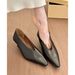 French-style Pointed-toe Retro Wedge-heeled Women's Shoes, Spring And Autumn Elegant Slip-on High-heeled Granny Shoes_vogvips.com