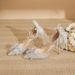 Women's Shoes Mid Heel Versatile Rhinestone Pumps, Sexy Backless Lady Formal Shoes For Wedding & Party Shoes Pearl & Rhinestone Butterfly Decor_vogvips.com