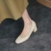 Elegant Pointed Toe For Women Low Block Heel Work Shoes Classic Slip On Office Pumps With Soft Leather Lining_vogvips.com