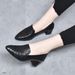2024 Deep Mouth Pointed Toe Fashion Mid-Heel Work Internet Celebrity Hot-Selling Wedge Spring And Autumn Embroidered_vogvips.com