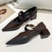 Rough Heeled Mary Jane Niche Shoes For Women In Autumn And Winter 2025 Versatile Shallow Mouth Single Buckle With Black_vogvips.com