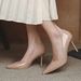 Nude High Heels Stiletto 2024 New Spring Autumn French Pointed Toe Shallow Mouth Versatile Formal Professional Elegant_vogvips.com