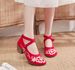 High Custom-made Thick Heels, Women's Embroidered Cloth Shoes, Mary Jane Student Shoes_vogvips.com