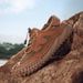 Men's Summer Breathable Thin Mesh Hollow-Out Shoes For Outdoor Sports And Casual Wear_vogvips.com