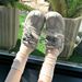 Women's Shoes Thick Sole Casual Shoes Student Sports Running Shoes Ins Daily Trendy Sneaker Vacation Walking Shoe_vogvips.com