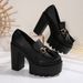 Petite Women's High Heeled Shoes Tassel And Metal Embellishment Chunky Heel Plus Size Professional Style_vogvips.com