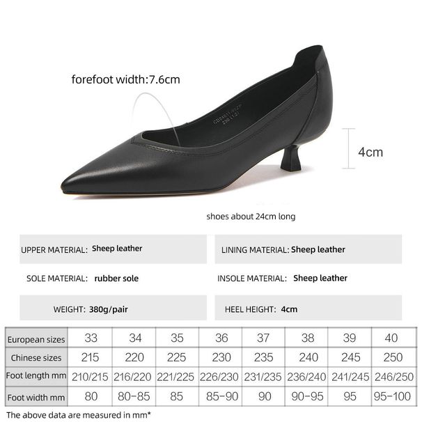 cameido Women's Pointed - Toe Low - Cut Heeled Pumps. Ideal For Spring, These Shoes Are Perfect For Professional Commuting And Work._vogvips.com