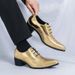 New Fashion Men's High Heel Pointed Toe Golden Business Leather Shoes Lace-up Nightclub Fashion Show Trend European And American Men's Shoes_vogvips.com