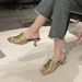 Women's Inspired Flat Sandals - Elegant Flip Flops For Dresses & Beach (Women's Comfortable Summer Slides)_vogvips.com
