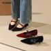 2388 Korean Style High-End Suede Elegant Pointed Toe Shallow Mouth One-Strap Low Heel Wo's Office Single Shoes For_vogvips.com