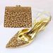 Shoe Bag Set Combination Fish Mouth Sandals Wedding Shoes + Hand Grab Bag Silk Leather Mosaic_vogvips.com