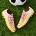 Soccer Shoes Soccer Shoes For Men Crushing Nails Ronaldo In AG Short Nails Junior Student Game Training Shoes For Soccer Shoes_vogvips.com