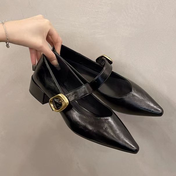Pointed Toe Leather Mary Jane For Women 2025 New French Style Low Chunky Heel Soft Sole Elegant Shoes_vogvips.com