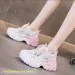 Women's Breathable Dad Spring 2025 New Thick Bottom Sports Heightening Mesh Surface Fashionable Casual Shoes_vogvips.com