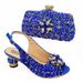 Fashion Design Shoes Match Bag Banquet Shoes Bag Nigerian Ladies Shoes And Bag_vogvips.com