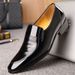 Euro Step REEHEMES Business British Formal Low-top Office Leather Men's Shoes_vogvips.com