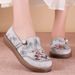 Women's Versatile New Spring Ethnic Style Embroidered Old Beijing Cloth Women's Hanfu Shoes, Mother's Casual Shoes_vogvips.com
