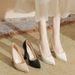 2026 New Cross-Border Women's High Heels, European American Style, Comfortable And Versatile, Sexy Pointed Toe Shoes For_vogvips.com