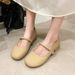 Round-toe, Shallow-cut, Vintage Versatile Women's Shoes That Pair Well With Skirts, Chunky Heel Mary Jane Shoes, 2026_vogvips.com