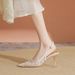 763-2 European Station 2024 New Spring Lace Hollow Mesh Pointed Toe High Heels Women Thin Heel Sexy Sandals_vogvips.com