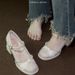 French Style Mary Jane High Heels Women, Elegant Comfortable, Suitable For Wedding Dress And Engagement, Chunky Heel_vogvips.com