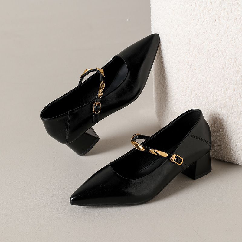 Sheepskin French-style Pointed-toe Chunky Heel Women's Shoes 2025 Spring/autumn With Metal Strap, Shallow Mary Jane_vogvips.com