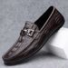 TerraStride Loafers Italian High-end Men's Crocodile Pattern Casual Leather Shoes_vogvips.com