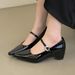 Cameido French Style Mary Jane Shoes For Women Chunky Heel Square Toe Single Strap Low Cut Dress Shoes For Commuting Spring_vogvips.com
