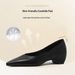 Cameido Water Washed Cowhide French Style Pointed Toe Low Cut Elevator Office Shoes For Spring_vogvips.com