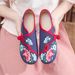 Morning Glory Flower Round Head Spring And Autumn Women's Single Canvas Embroidered Cloth Shoes_vogvips.com