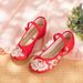 Women’s Shoes Summer New Style Ancient Style Mercerized Satin Ethnic Style Embroidery Low Heel Heightening Women's Single Shoes_vogvips.com
