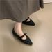 Women's Vintage Mary Jane Shoes – Floral Embellished Suede Loafers With Cotton Lining & Hidden Wedge Heel For Fall & Winter_vogvips.com