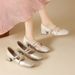 Elegant Mary Jane Women, New Summer And Autumn Style, Chunky Heels, Beautiful Square Toe, Suitable For Pairing With_vogvips.com