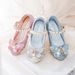 2026 Heels High Princess Children's Elsa Leather Little Girls' Crystal Flower Girl Spring And Autumn Fashion New Single_vogvips.com