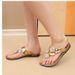Summer New Floral Flat Clip-Toe Women's Shoes Lightweight Casual Open-Toe Sandals For Women_vogvips.com
