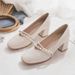 Haute Temperament High Heels Women's Foreign Mary Jane Shoes Small Leather Shoes Thick Heel Single Shoes With Skirt_vogvips.com