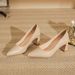 Women's Shoes High Heel Shoes, Classic Style Pump Elegant Basics Business Casual Business Chic Spring Daily Office Shoes_vogvips.com
