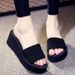 Summer New Fashion High Heel One-Strap Slippers Thick Sole Platform Solid Color Outdoor Beach Women's Wedge_vogvips.com