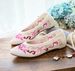 Sharp Pointed Single Spring And Summer Styles, One Foot Women's Shoes, Fashionable Embroidered Cloth Shoes_vogvips.com