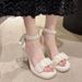 High-End Chunky Heel Sandals For Women Summer 2023 New Pearl French Style Stunning Straps Perfect With Skirts Versatile_vogvips.com