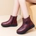 Women's Snow Boots Slip-On With Fleece Lining Soft Sole Middle-Aged And Elderly Mom Cotton Shoes For Women Winter_vogvips.com