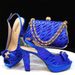 Shoe Bag Set Combination Fish Mouth High Heels With Ladder Handbag_vogvips.com