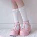 New Large Spring Round Head Sweet Mary Jane With Slope Heel Thick Bottom Small Leather Single Shoes_vogvips.com