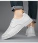 Men's Shoe Pattern Casual Leather Shoes Men's Leather Hole Shoes Lace-up Mesh Soft Sole Driving_vogvips.com