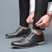 Ark Bird Large Size Formal Leather British Business Men's Single Shoes_vogvips.com