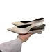 Women's French-Inspired Pointed Toe Block Heel Sandals - Elegant Open Back Mules In Black, Beige, Silver, And Leopard Print Pointed Toe Shoes._vogvips.com