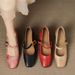 Frch-style Mary Jane Shallow High-heeled Wom, New Spring And Autumn Vintage Chunky Heel Elegant Single Shoes For_vogvips.com