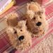 Girly Style Cute Scrawled Puppy Furry 2025 Autumn Winter New Trendy Versatile Comfortable One-Strap Slippers For Women_vogvips.com