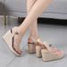 Women's Shoes Summer New Wedge Thick Bottom High Heel Sandals Women's High Heel Glass Glue Straw Braided Rope Bottom Large Size_vogvips.com
